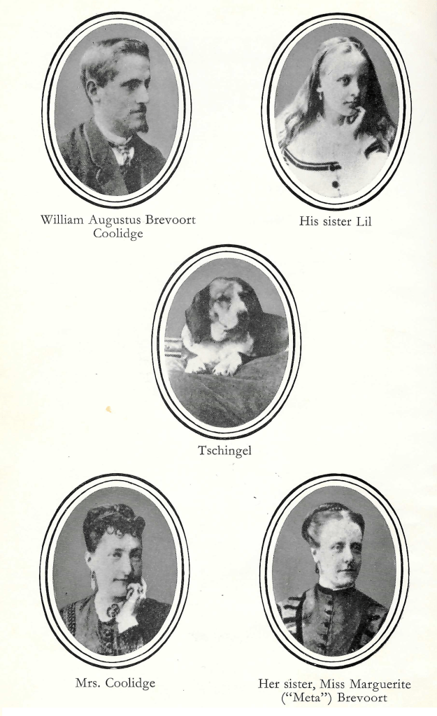 Carte de Visite photographs of the members of the Brevoort and Coolidge household in the 1870s