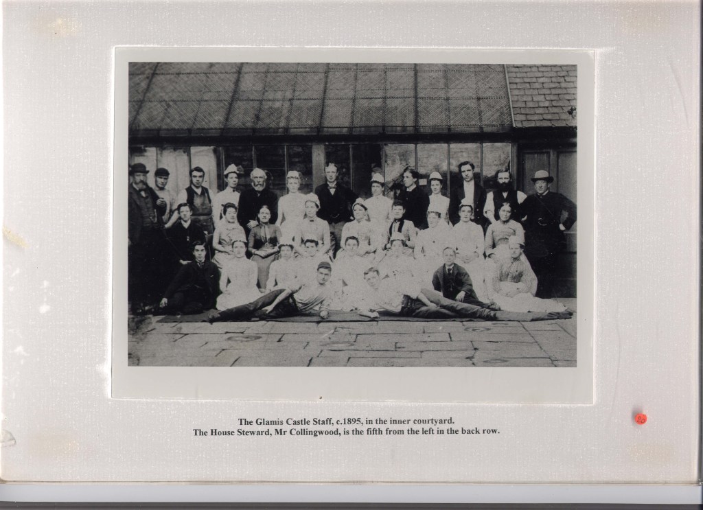 A large group of Victorian servants