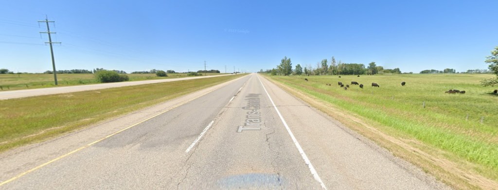 Screenshot from Google Maps of a small section of the Trans-Canada Highway showing a long straight road with grassland on either size dotted with trees and shrubs and some telegraph poles on the left and cattle grazing in a field on the right