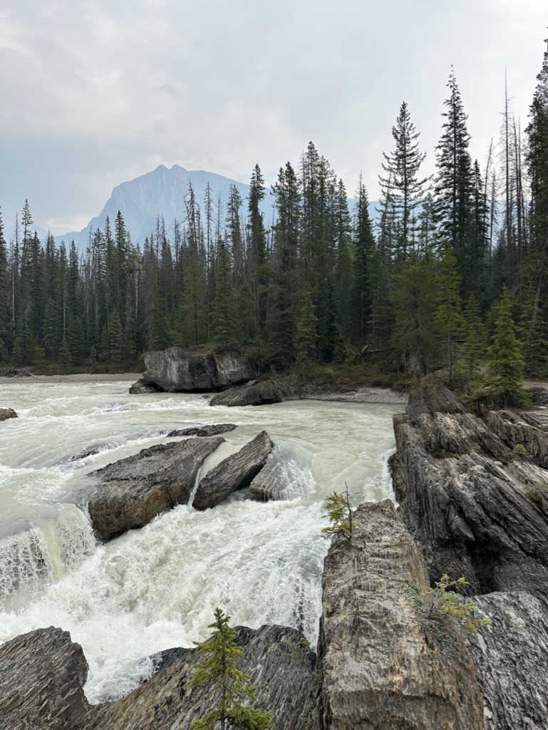 photo of water rushing towards Natural Bridge, British Columbia, surrounded by pine forests with a mountain in the background