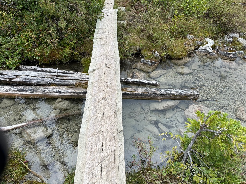 Rough hewn plank walkway crossing above over and water