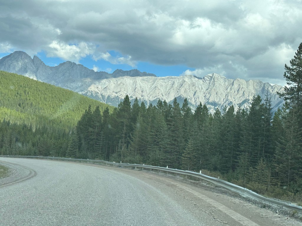 Battered armco barrier preventing vehicles leaving a gravel road and falling into a pine forest, with dense forest in the distance and mountain crags and peaks