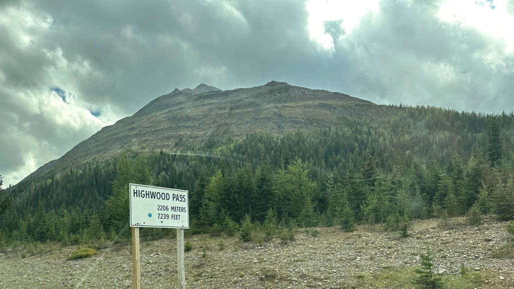 Sign indicating the Highwood Pass, the highest pass in the Canadian Rockies at 2206m or 7239 feet, with pine forest and mountain peak in the distance.