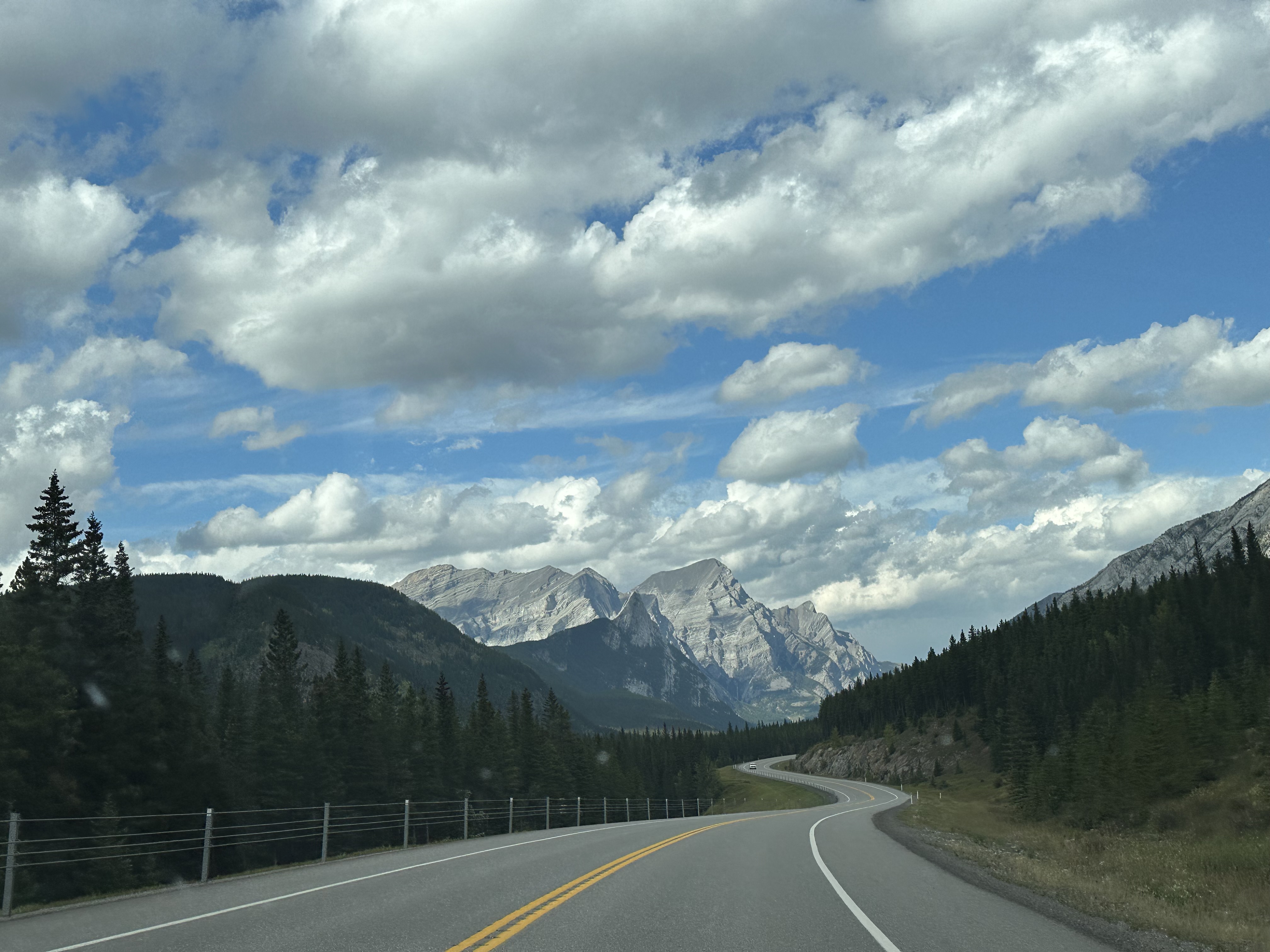A long and winding tarmacked road edged with pine forests and mountain peaks in the diostance.