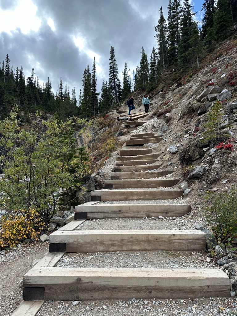 Man-made wooden steps leading up towards a mountain forest