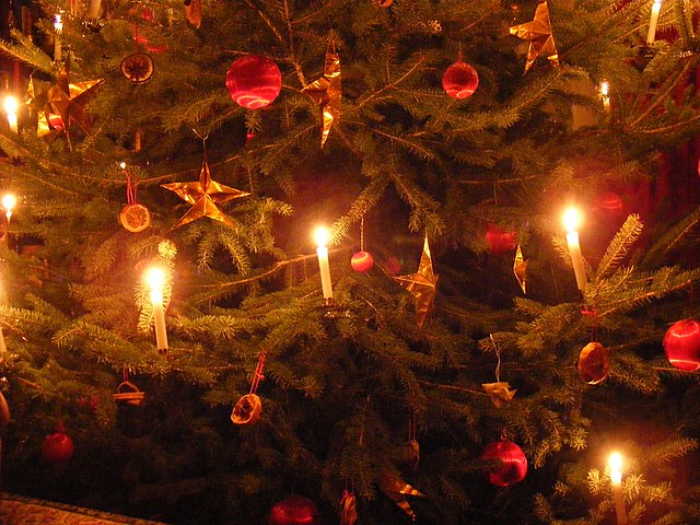 Live candles, each with a flame, clipped to a Christmas tree decorated with baubles and dried fruits.