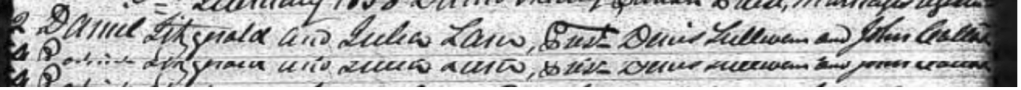 1858 handwritten extract from Irish Parish Records showing the marriage of Daniel Fitzgerald to Julia Lain, in the presence of David Sullivan and John Collins(?)